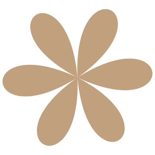 Aida Blankestijn | VA Social Media beheer